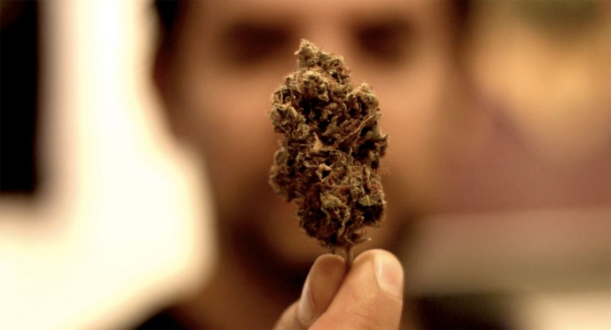 Cine: «Una historia de la prohibición», hitos de la guerra a las drogas en Argentina y el mundo