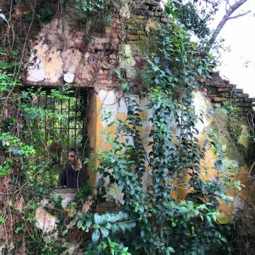 Viento presenta su single «Canción de bosque», inspirado en el Shinrinyoku, un concepto japonés que trata básicamente de bañarse en un bosque, pero no con agua, sino con sus sonidos, aromas y colores