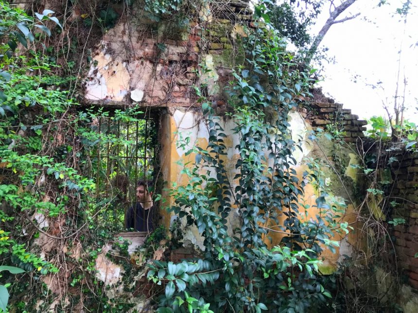 Viento presenta su single «Canción de bosque», inspirado en el Shinrinyoku, un concepto japonés que trata básicamente de bañarse en un bosque, pero no con agua, sino con sus sonidos, aromas y colores