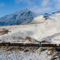 La historia viva de La Trochita, un viajero eterno sobre vías que cruza parte de la estepa patagónica