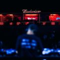 Budweiser y numerosos Djs estrellas en la arenas de Mute, en Mar del Plata