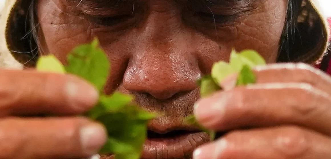 El ritual de «La lectura de hojas de coca»: de origen ancestral andino, es una ceremonia donde un chamán interpreta el significado en la vida de uno sobre cuestiones de salud, amorosas y laborales
